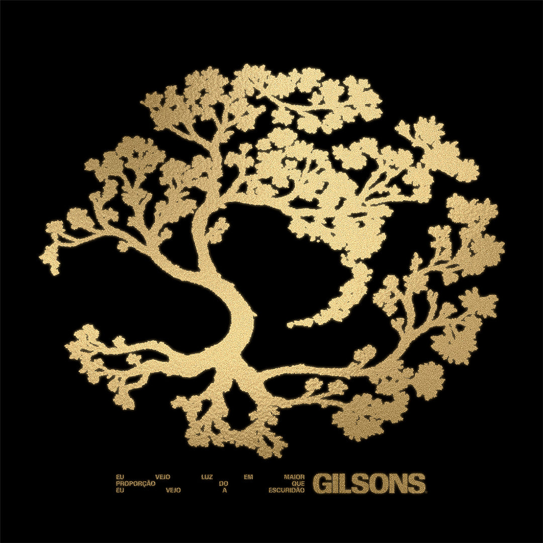GILSONS - EU VEJO LUZ EM MAIOR PROPORÇÃO DO QUE EU VEJO A ESCURIDÃO (LP) ABRIL Mensal - Assinante