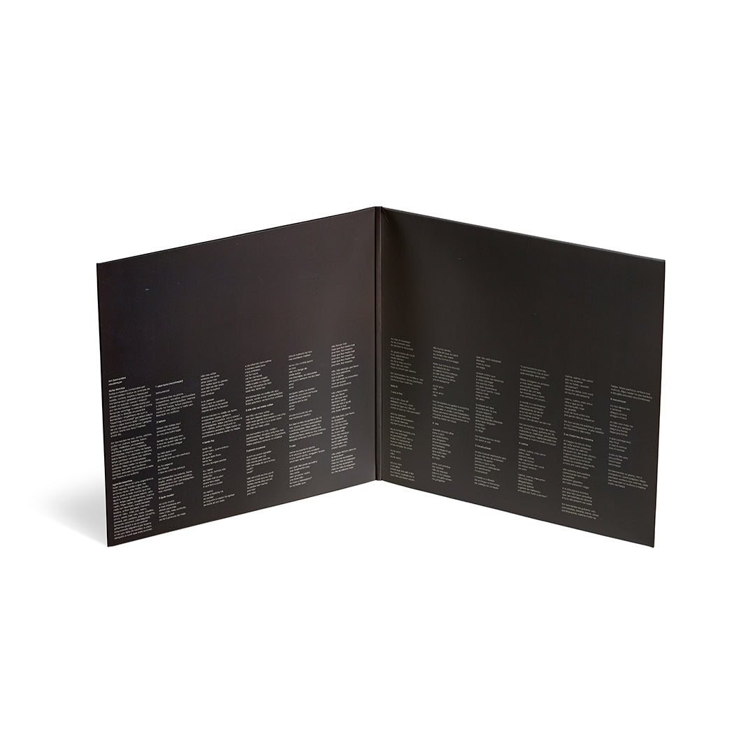 LP Tim Bernardes - Recomeçar - Vinil