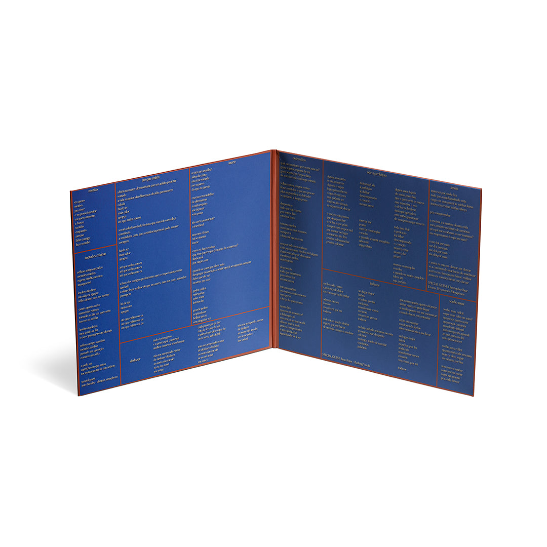 Capa gatefold aberta do álbum OUTROS FIOS de Chico Bernardes (disco de vinil).