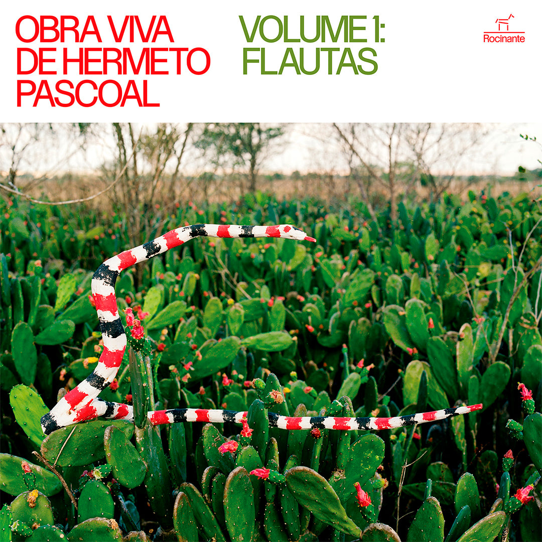 HERMETO PASCOAL - OBRA VIVA DE HERMETO PASCOAL  VOLUME 1: FLAUTAS (LP)