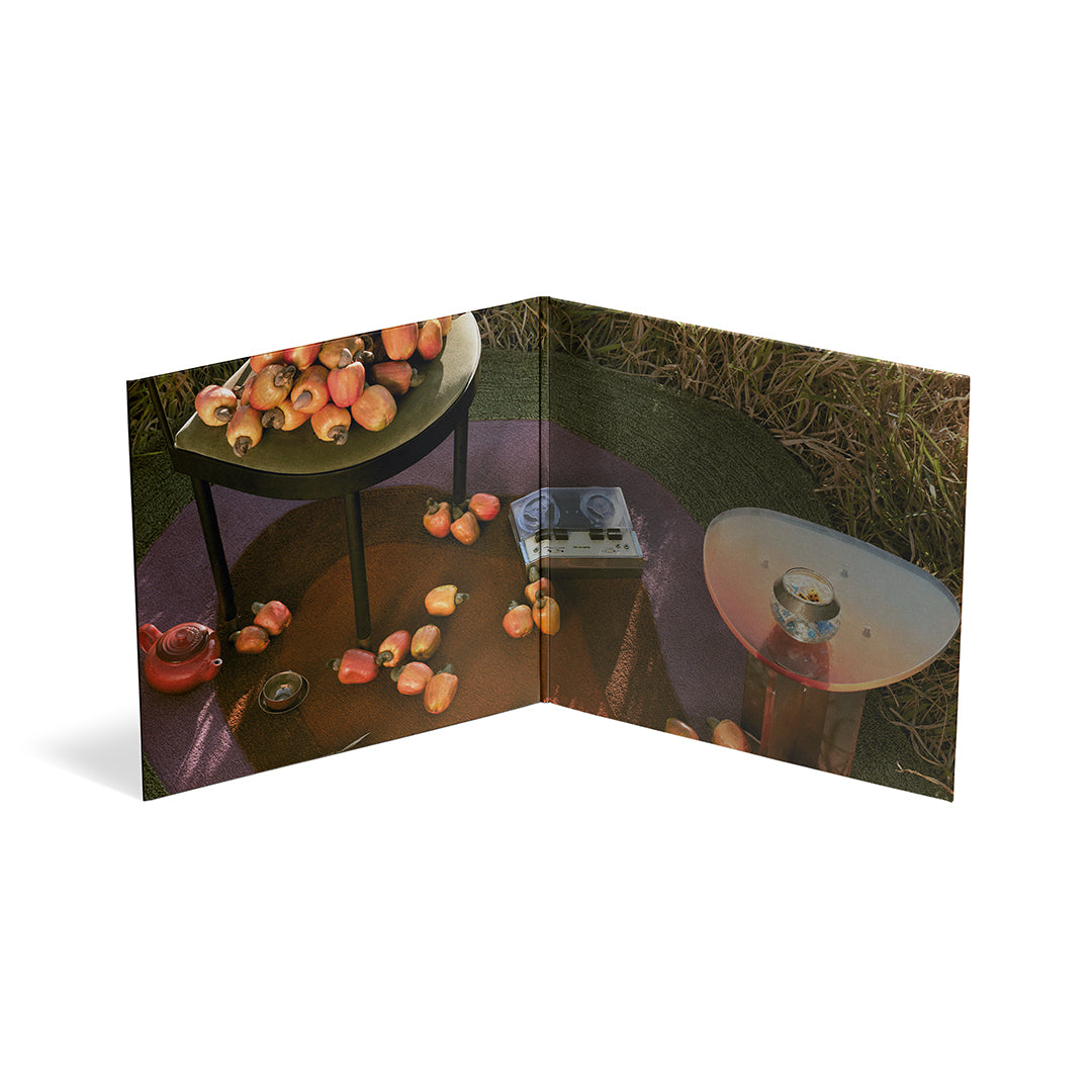 Gatefold aberto com mesa contendo frutas, objetos decorativos e aparelho de áudio sobre gramado (disco de vinil).