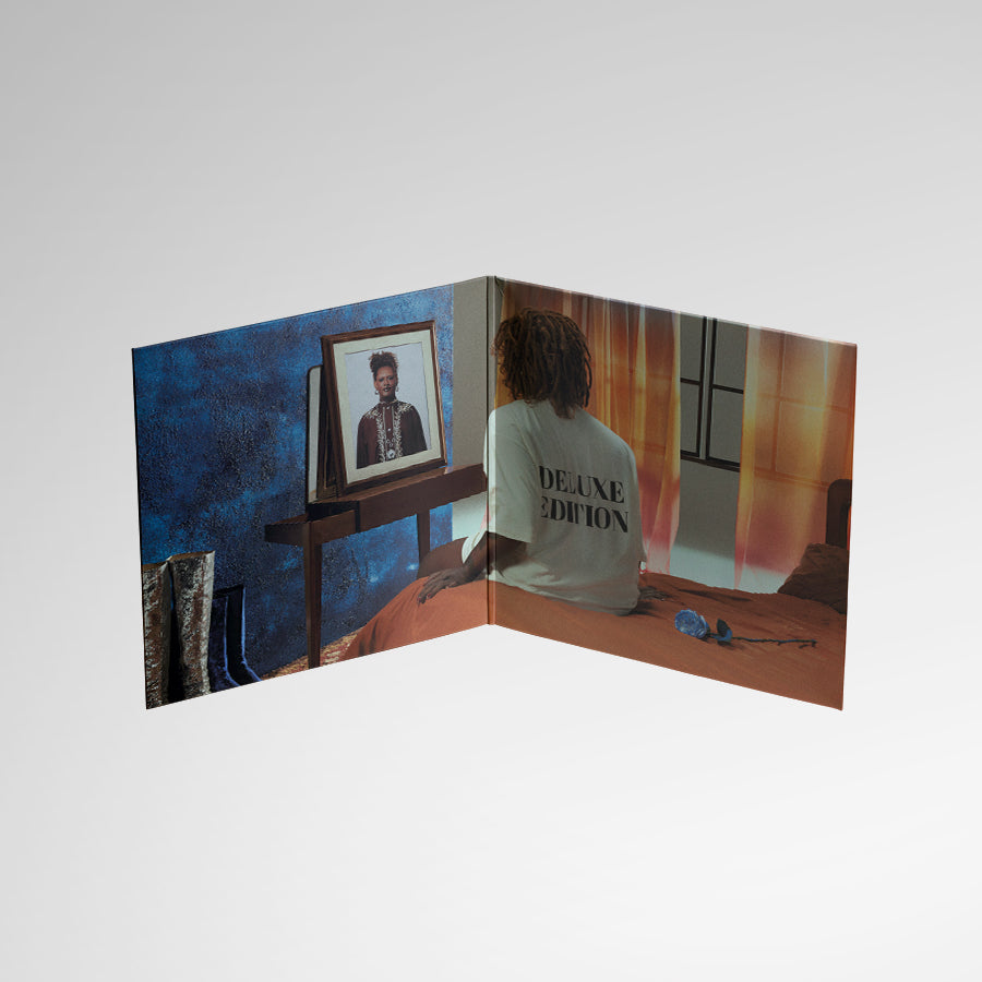 Gatefold aberto com quarto iluminado, retrato em moldura sobre móvel, pessoa sentada na cama e flor azul sobre a colcha (disco de vinil).
