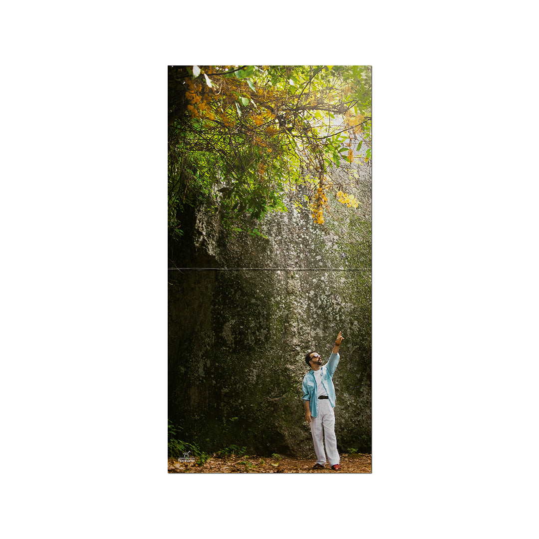 Poster do álbum Marcelo Galter Investiga a Beleza Sem Fim de Dorival Caymmi, com fotografia do músico em cenário de natureza.